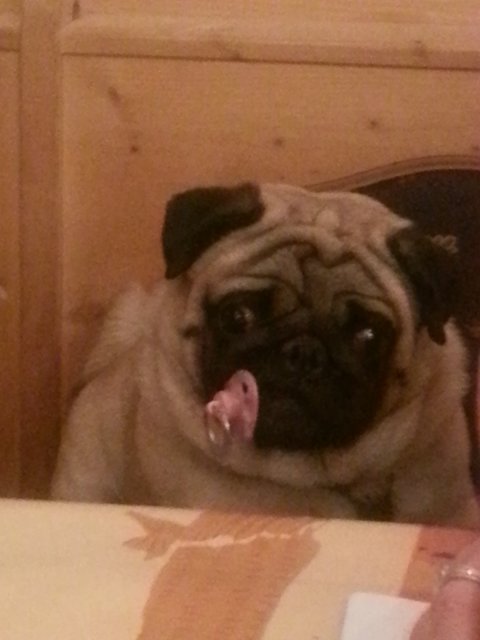 was guckst du?