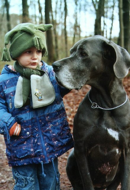 Max, mein liebster Enkel und Georgy, meine liebste Deutsche Dogge.