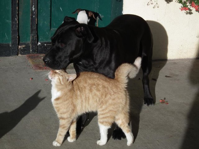 Best friends!