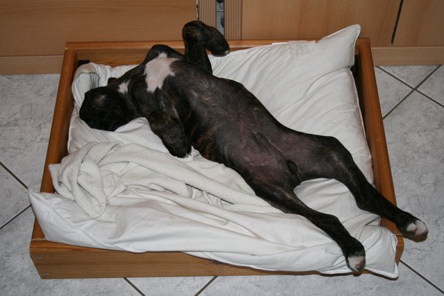 So mag ich's am liebsten :-)