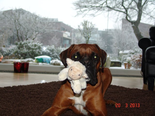 Meins ! :)