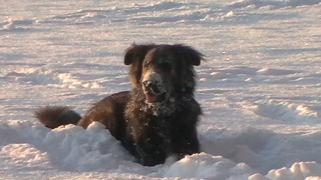 Na wer macht mit mir eine Schneeballschlacht