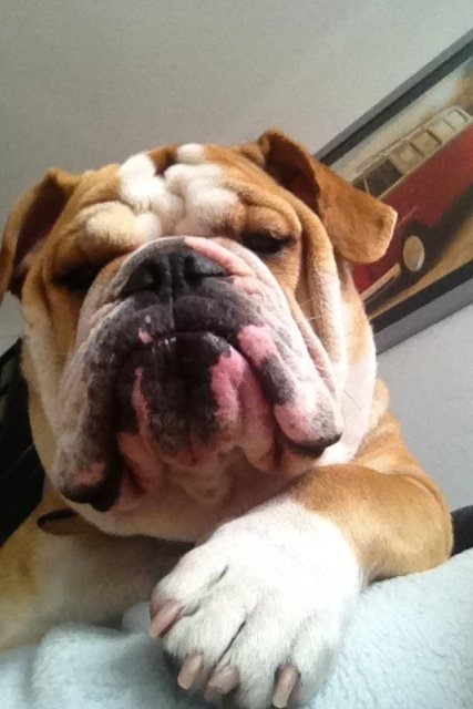 Tut nix,guckt nur ....