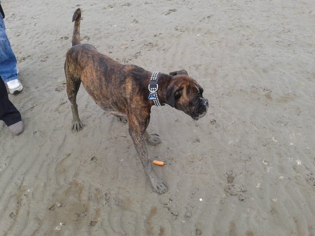 Schön an der Nordsee