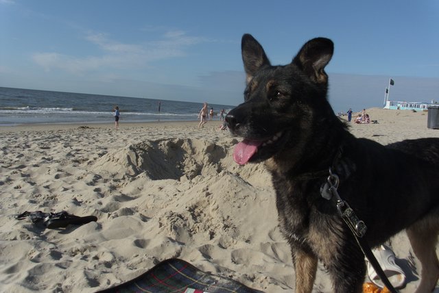 Ronja tut nix am Strand:)