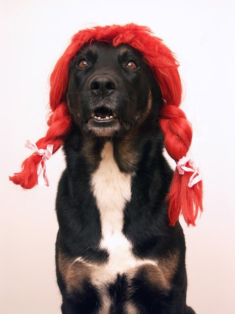 Hi, mein Name ist Susi Langstrumpf