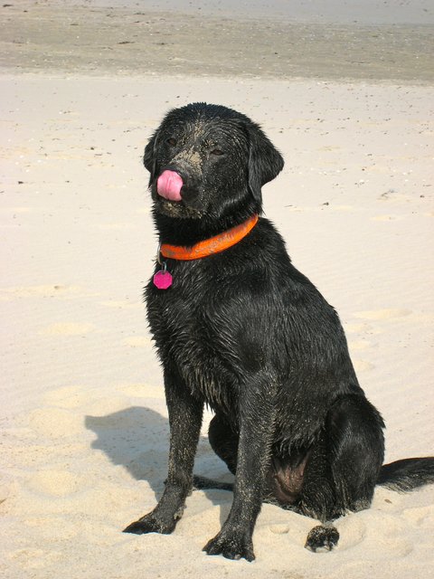 Ein Tag am Strand