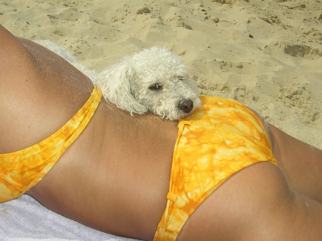 Wir wollen endlich wieder Sommer....