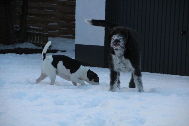 Blöder Winter... Bääääh....
