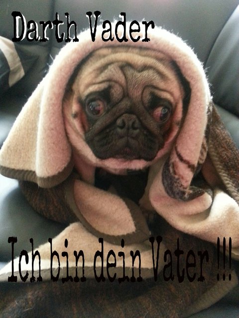 Naja irgendwas muss man ja spielen xD