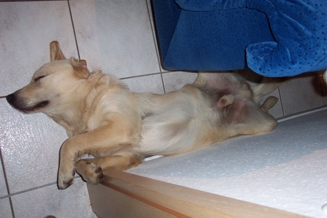 Das nenn ich mal ein Bett