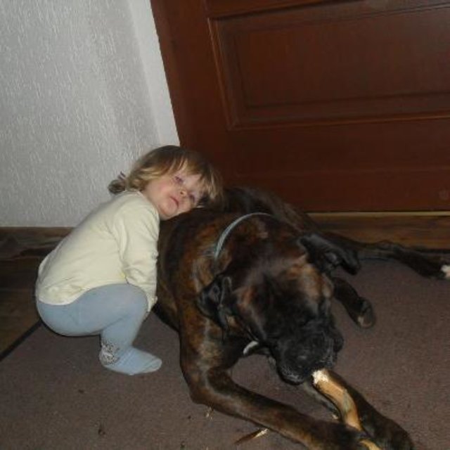 Kuschelhund