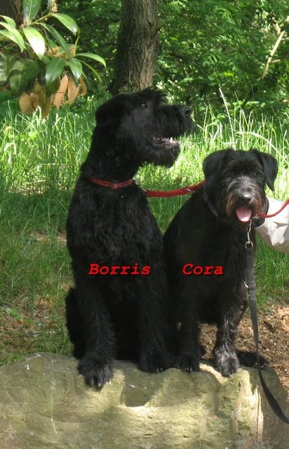Cora und Borris