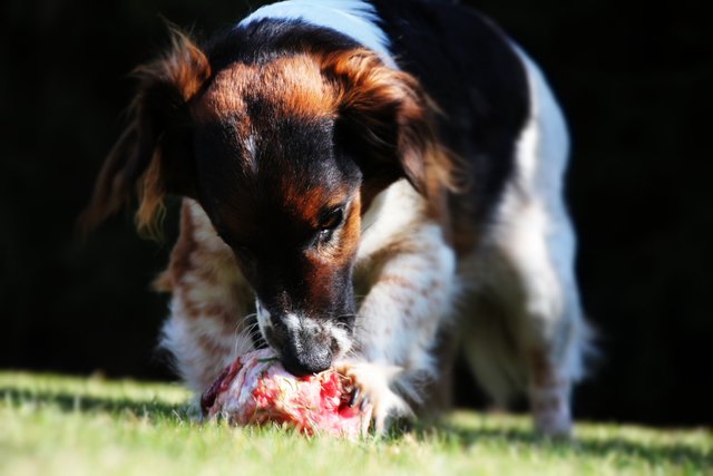 Ich habe HUNGER!!!!!!!!!!!!!