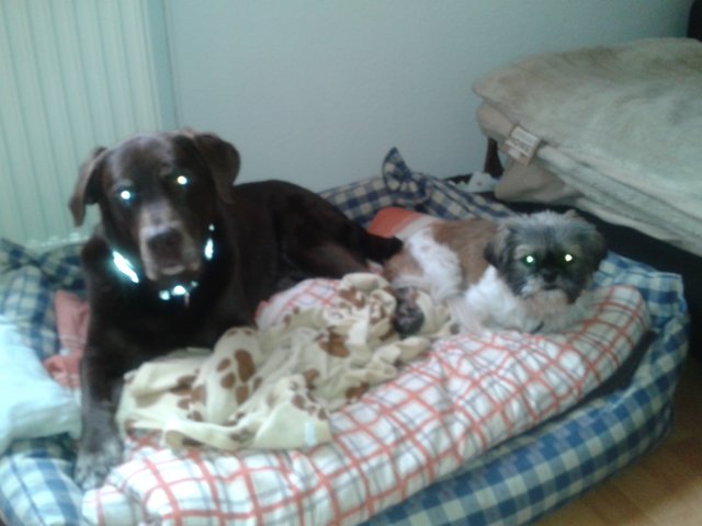 Cathy (rechts) und Cherry