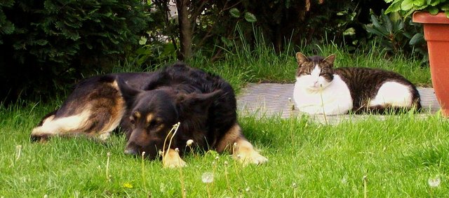 Es war die große Liebe ( R.I.P. Trixi )