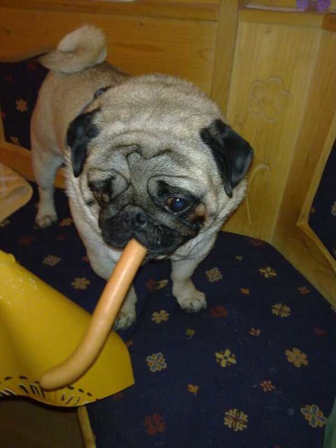 mmmhhh lecker
