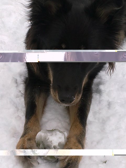 Ich Tu nix,so lange du mit mir(Lilly) Ball spielst im Schnee