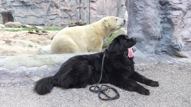 Cara und Antonia