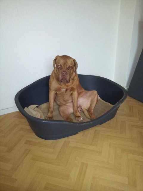 Nancy so wird gechillt