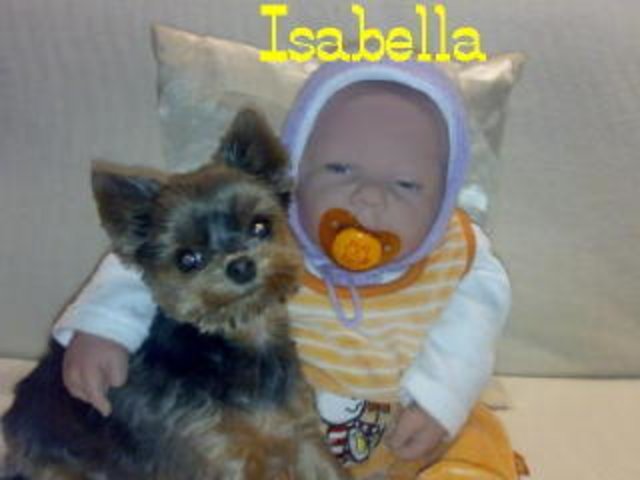 Isabella aus Velbert