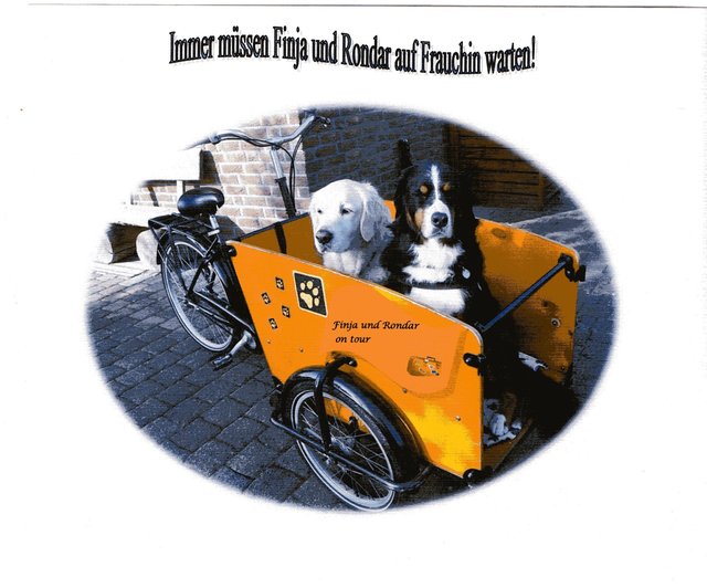 Finja und Rondar - on tour