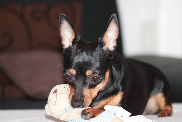 Lucy