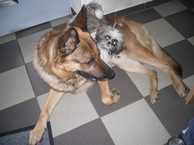 charly und jimmy