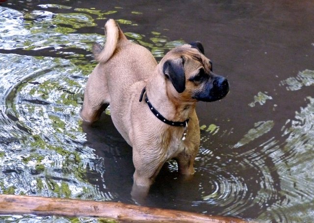 Was soll ich im kalten Quellwasser machen?
