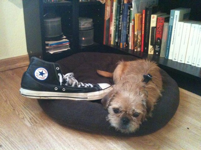 Der tut dem Schuh nix