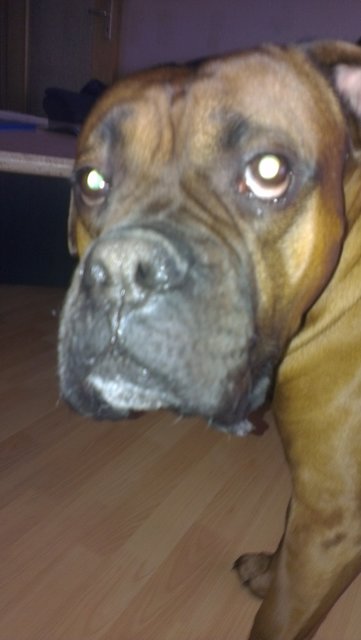 was guckst du?