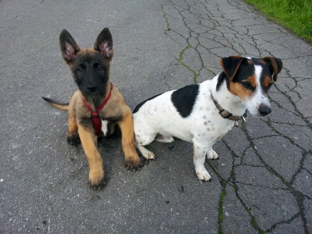 Freundschaft