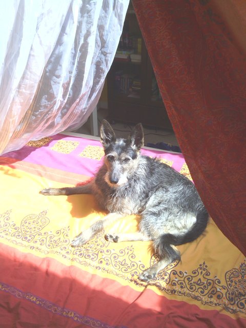 wer glaubt ich bin eine Diva?!