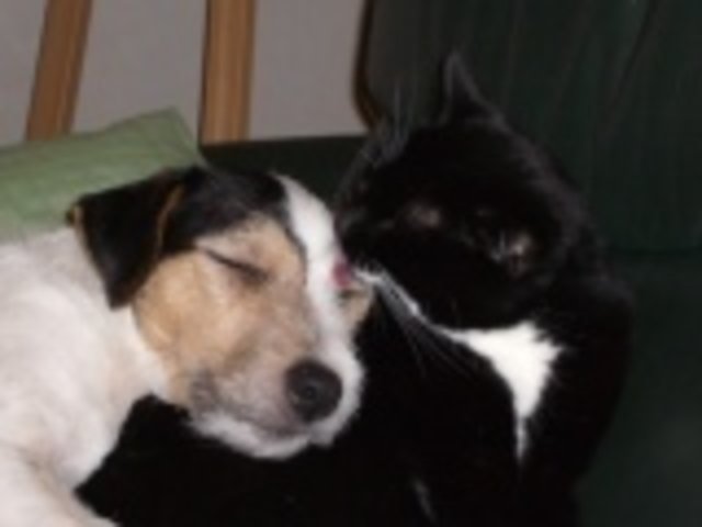 hab dich lieb (2)