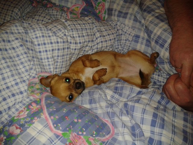 so richtig nett ists nur im Bett