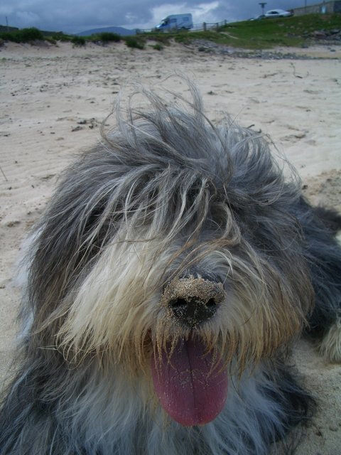 Panierte Nase