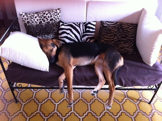 "Relaxing Mia" oder: Wer schläft, der sündigt nicht ;-)