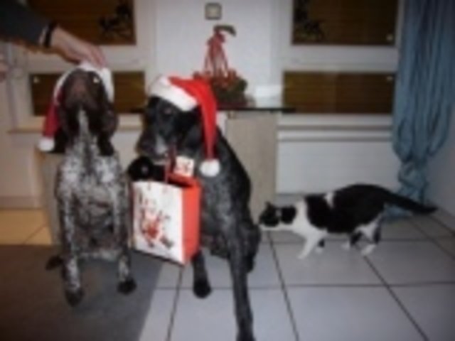 4x Grüße zu Weihnachten