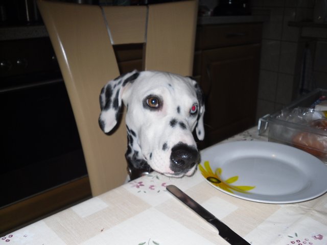 Hunger !