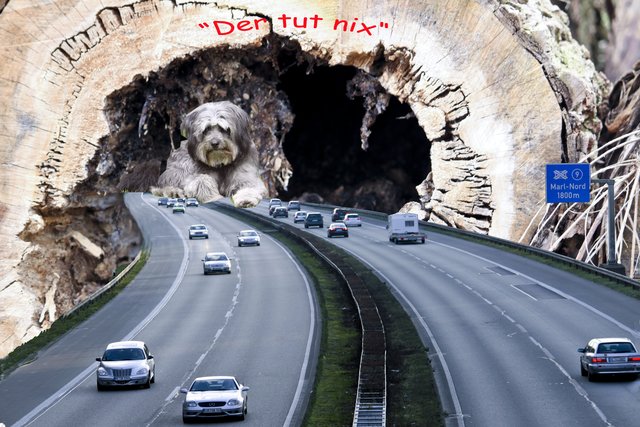 Der tut nix