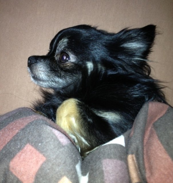 Max im Bett. Na, ob man das darf?