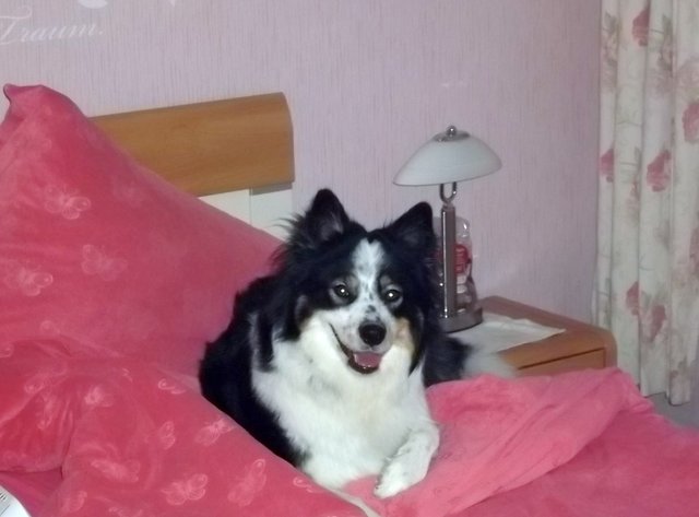 Leikas lieblings Plaz!!!