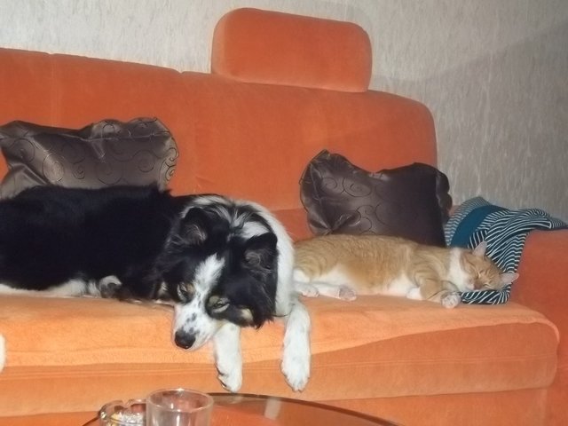 aber ich wollte doch noch weiter spielen ?????