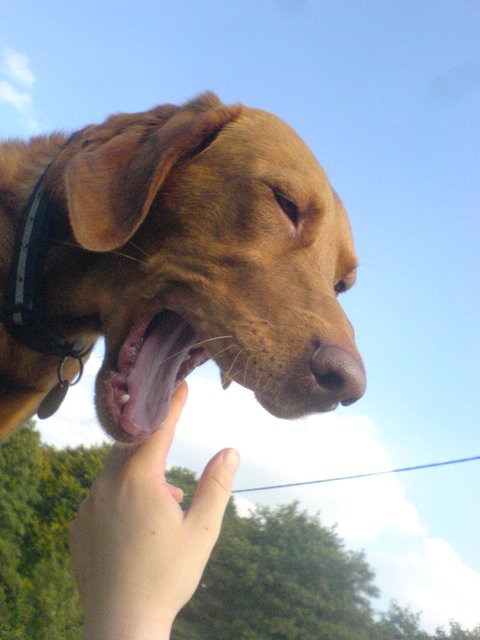tut der nix??