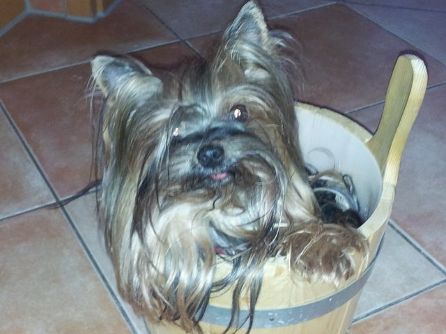 Josie ist einfach nur entspannt