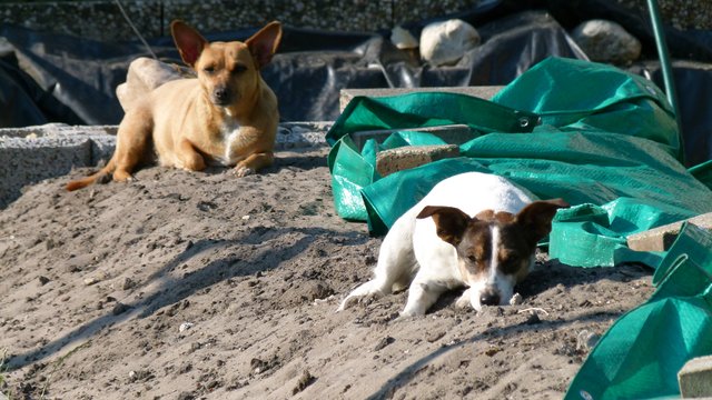 Wann ist die Baustelle fertig?