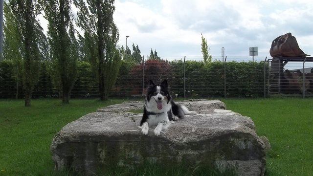 Meine lieblings Bescheftigung!!!