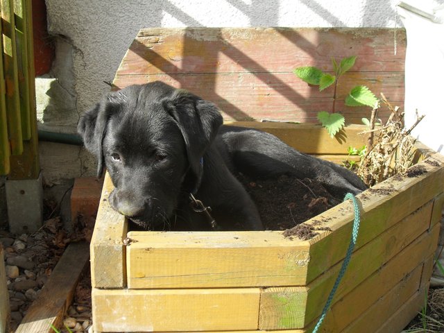 Ich räume eben auf meine eigene Weise auf!