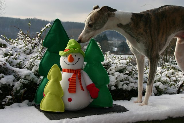 Jetzt reicht´s aber mal mit Winter mein Guter!!