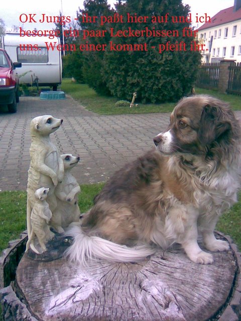 Sie tut nix - sie guckt nur und erreicht damit was sie will :-)